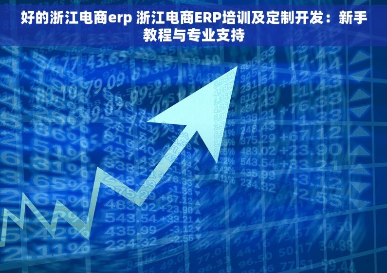 好的浙江电商erp 浙江电商ERP培训及定制开发：新手教程与专业支持