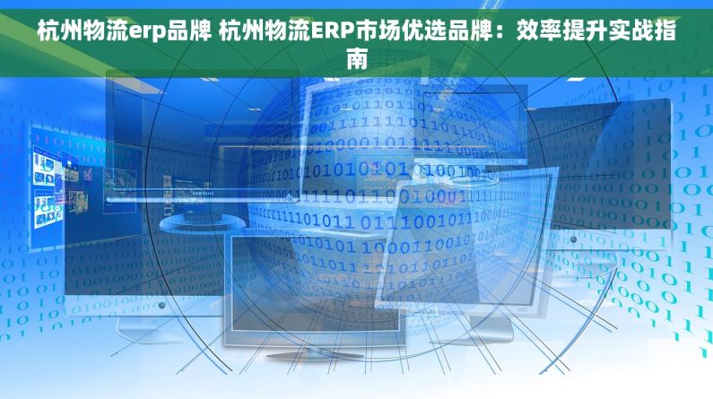 杭州物流erp品牌 杭州物流ERP市场优选品牌：效率提升实战指南