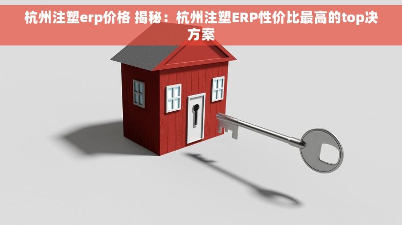 杭州注塑erp价格 揭秘：杭州注塑ERP性价比最高的top决方案
