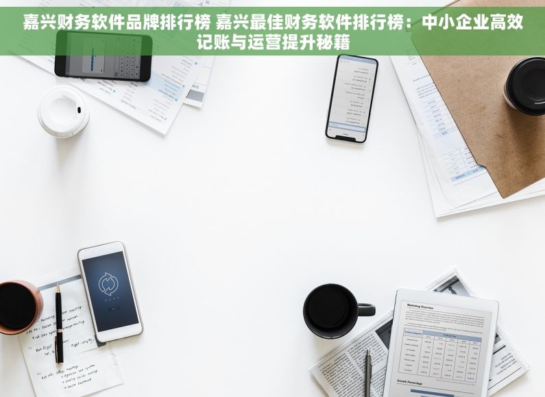 嘉兴财务软件品牌排行榜 嘉兴最佳财务软件排行榜：中小企业高效记账与运营提升秘籍