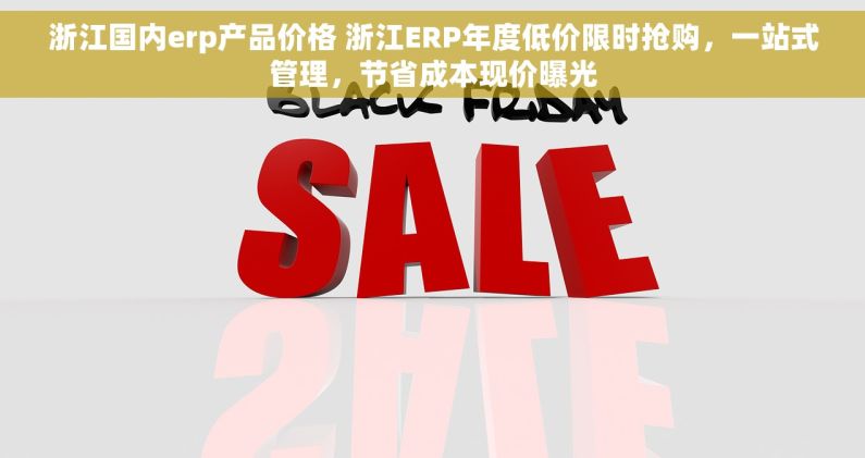 浙江国内erp产品价格 浙江ERP年度低价限时抢购，一站式管理，节省成本现价曝光