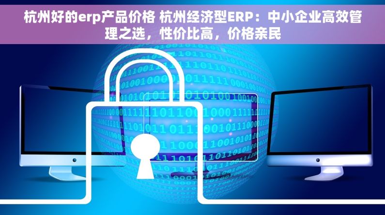 杭州好的erp产品价格 杭州经济型ERP：中小企业高效管理之选，性价比高，价格亲民