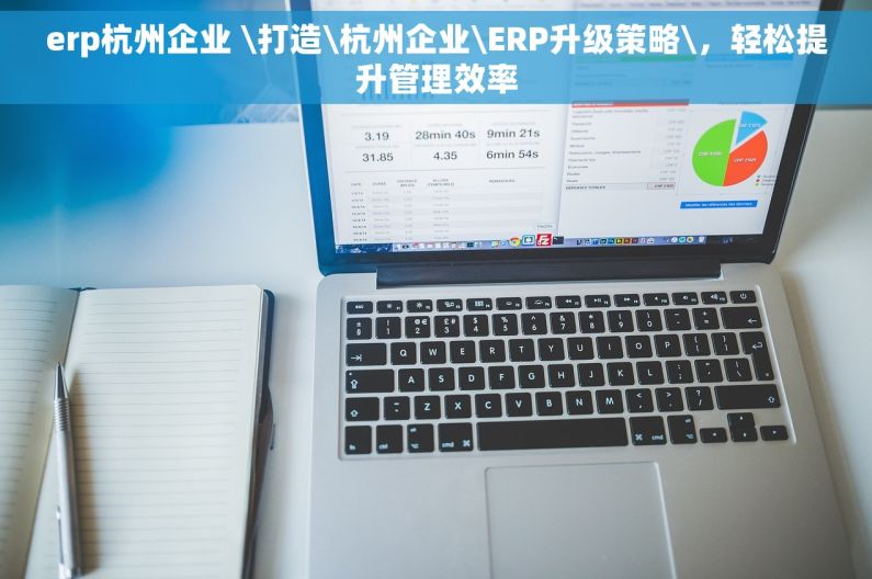 erp杭州企业 \打造\杭州企业\ERP升级策略\，轻松提升管理效率