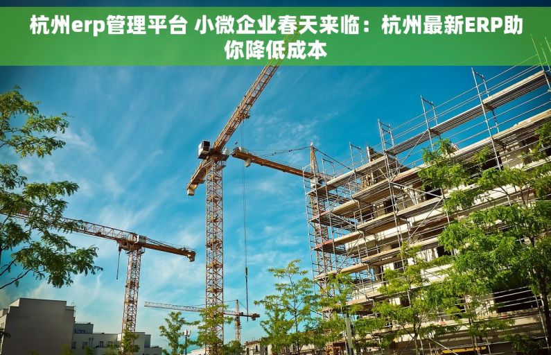 杭州erp管理平台 小微企业春天来临：杭州最新ERP助你降低成本
