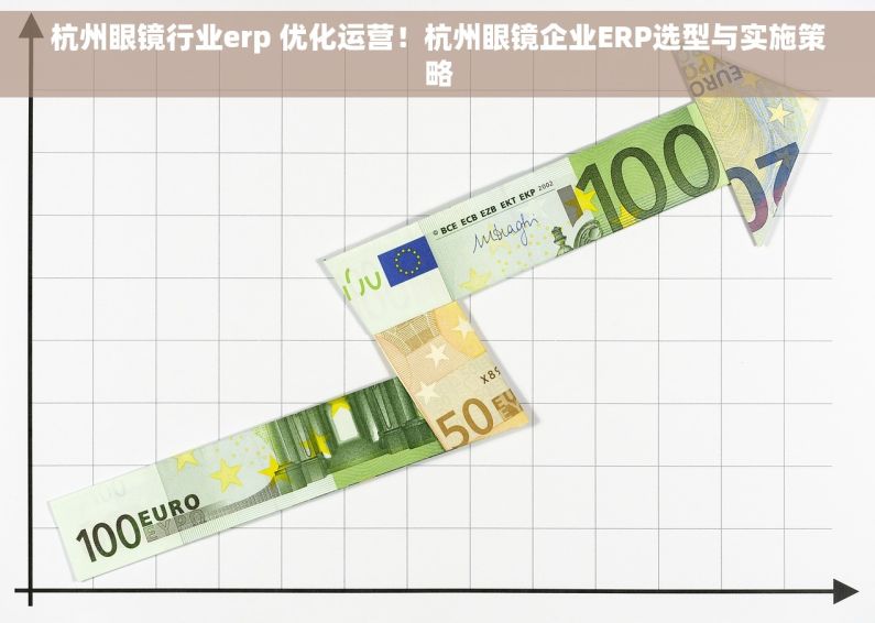 杭州眼镜行业erp 优化运营！杭州眼镜企业ERP选型与实施策略