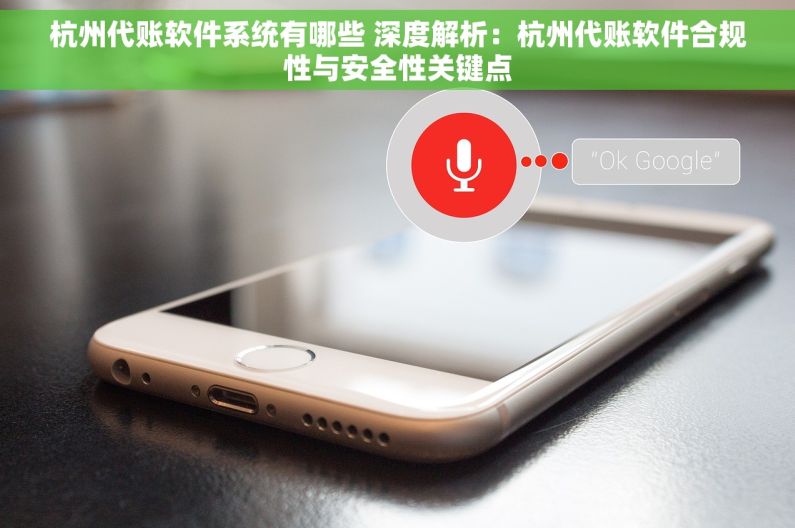 杭州代账软件系统有哪些 深度解析：杭州代账软件合规性与安全性关键点