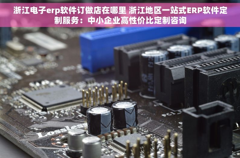 浙江电子erp软件订做店在哪里 浙江地区一站式ERP软件定制服务：中小企业高性价比定制咨询