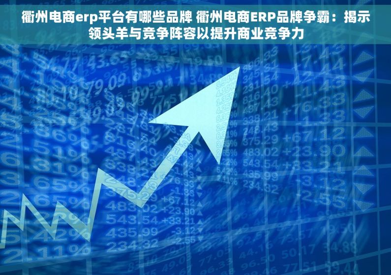 衢州电商erp平台有哪些品牌 衢州电商ERP品牌争霸：揭示领头羊与竞争阵容以提升商业竞争力