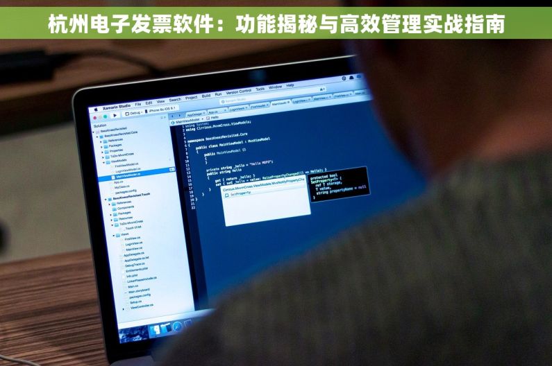 杭州电子发票软件：功能揭秘与高效管理实战指南