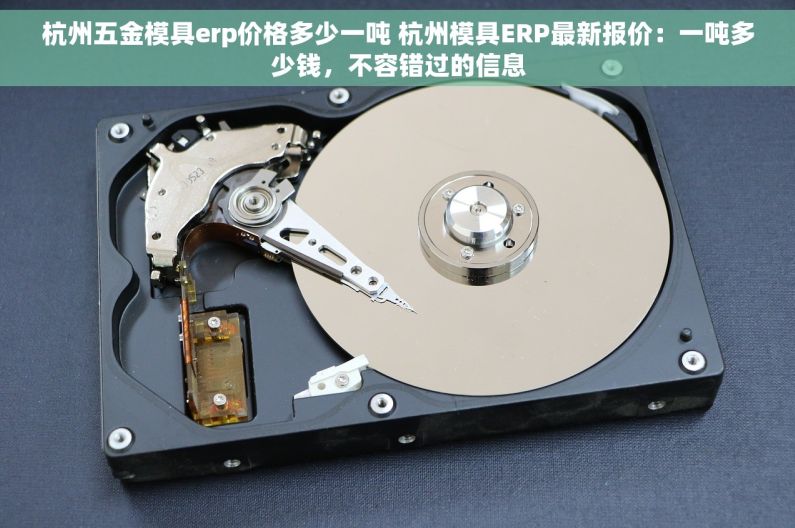 杭州五金模具erp价格多少一吨 杭州模具ERP最新报价：一吨多少钱，不容错过的信息