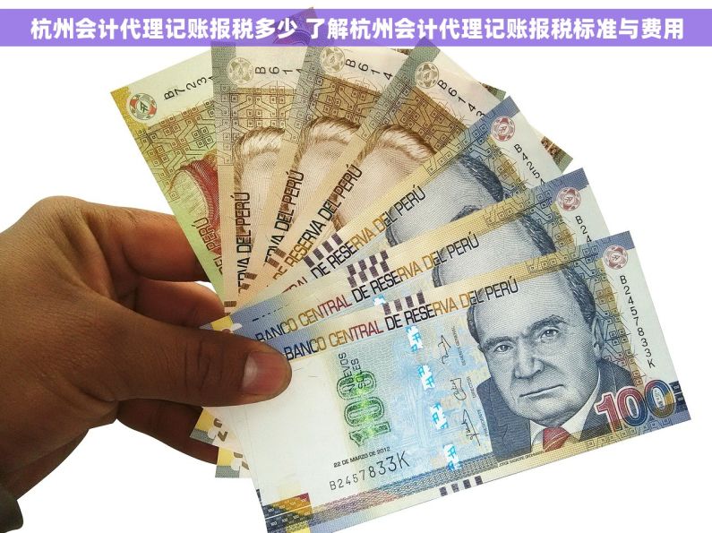 杭州会计代理记账报税多少 了解杭州会计代理记账报税标准与费用