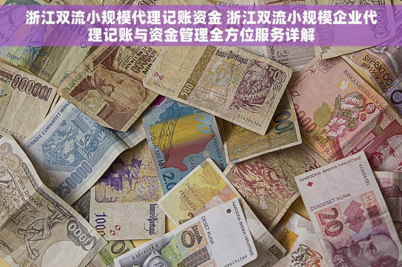 浙江双流小规模代理记账资金 浙江双流小规模企业代理记账与资金管理全方位服务详解