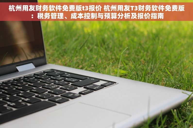 杭州用友财务软件免费版t3报价 杭州用友T3财务软件免费版：税务管理、成本控制与预算分析及报价指南
