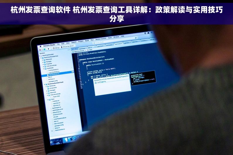 杭州发票查询软件 杭州发票查询工具详解：政策解读与实用技巧分享