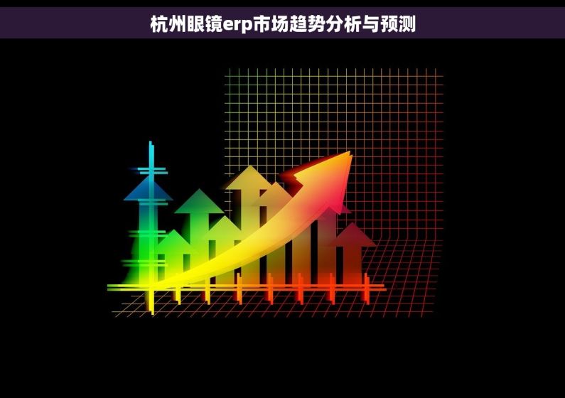 杭州眼镜erp市场趋势分析与预测