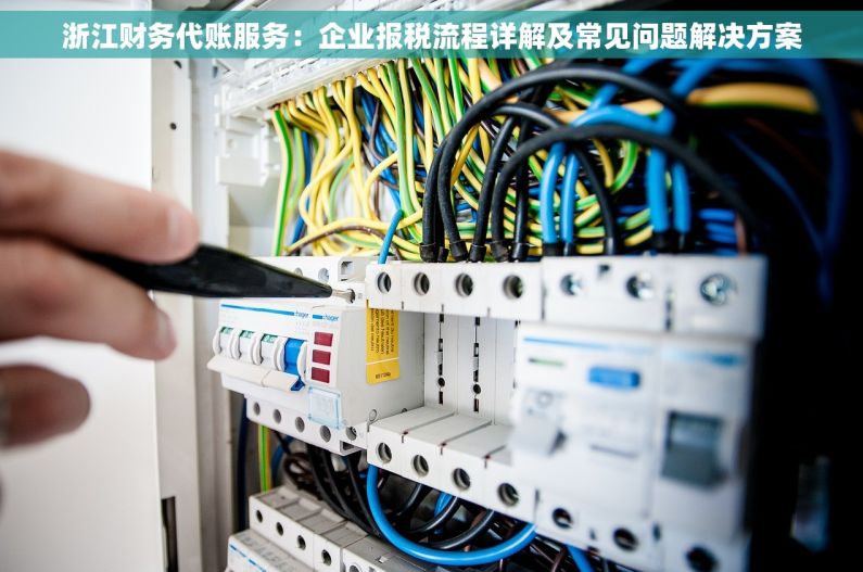 浙江财务代账服务：企业报税流程详解及常见问题解决方案