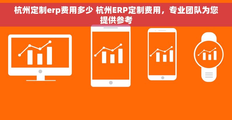 杭州定制erp费用多少 杭州ERP定制费用，专业团队为您提供参考
