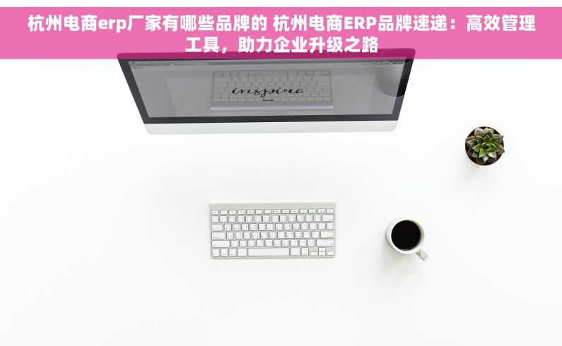 杭州电商erp厂家有哪些品牌的 杭州电商ERP品牌速递：高效管理工具，助力企业升级之路