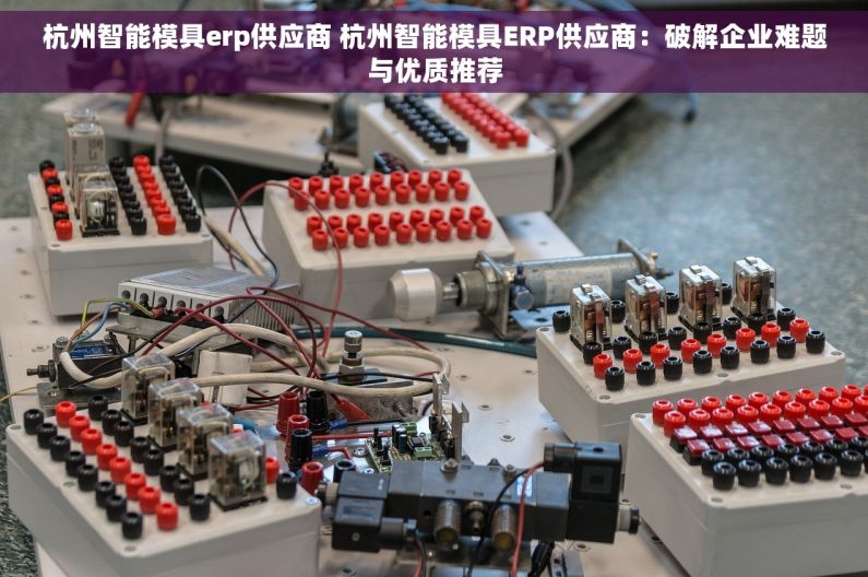 杭州智能模具erp供应商 杭州智能模具ERP供应商：破解企业难题与优质推荐
