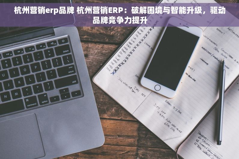 杭州营销erp品牌 杭州营销ERP：破解困境与智能升级，驱动品牌竞争力提升