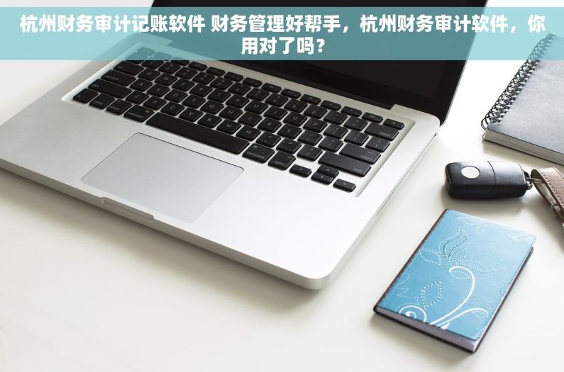 杭州财务审计记账软件 财务管理好帮手，杭州财务审计软件，你用对了吗？