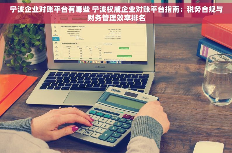 宁波企业对账平台有哪些 宁波权威企业对账平台指南：税务合规与财务管理效率排名