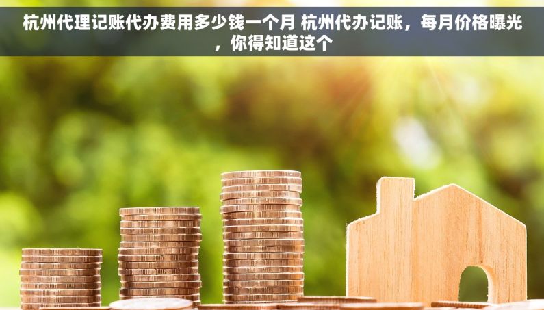 杭州代理记账代办费用多少钱一个月 杭州代办记账，每月价格曝光，你得知道这个