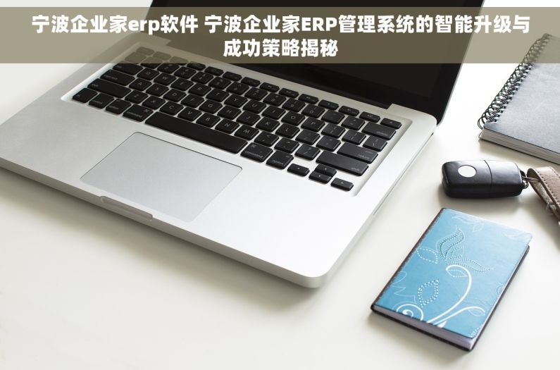 宁波企业家erp软件 宁波企业家ERP管理系统的智能升级与成功策略揭秘