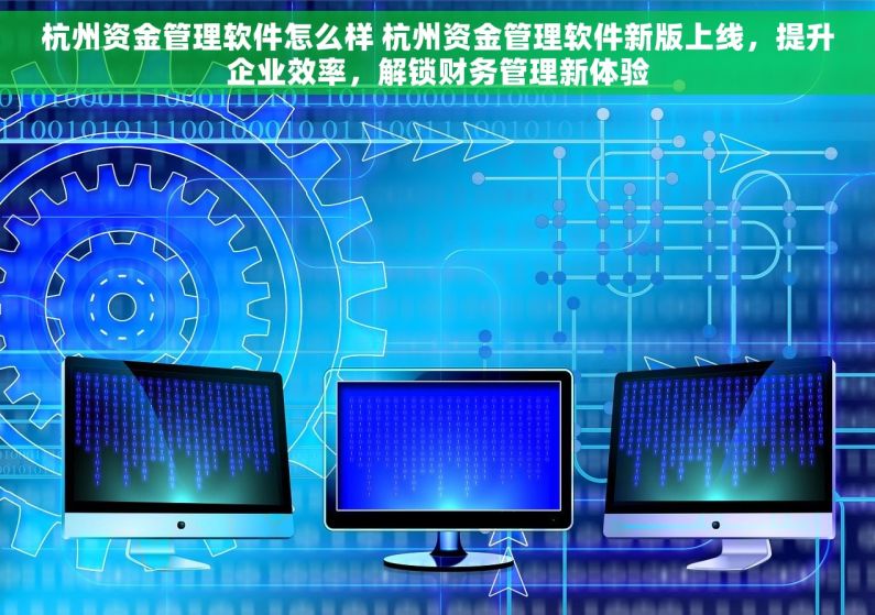 杭州资金管理软件怎么样 杭州资金管理软件新版上线，提升企业效率，解锁财务管理新体验
