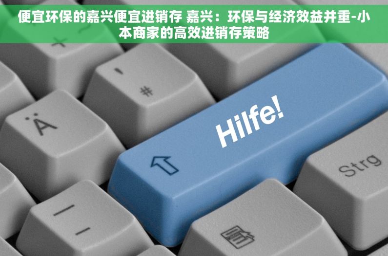便宜环保的嘉兴便宜进销存 嘉兴：环保与经济效益并重-小本商家的高效进销存策略