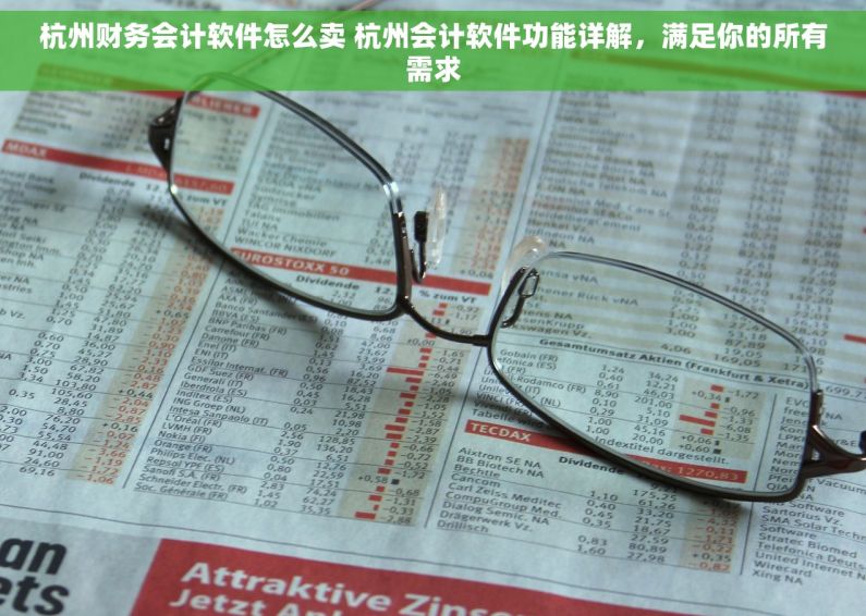 杭州财务会计软件怎么卖 杭州会计软件功能详解，满足你的所有需求