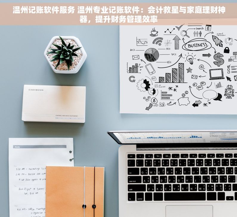 温州记账软件服务 温州专业记账软件：会计救星与家庭理财神器，提升财务管理效率