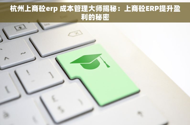 杭州上商砼erp 成本管理大师揭秘：上商砼ERP提升盈利的秘密