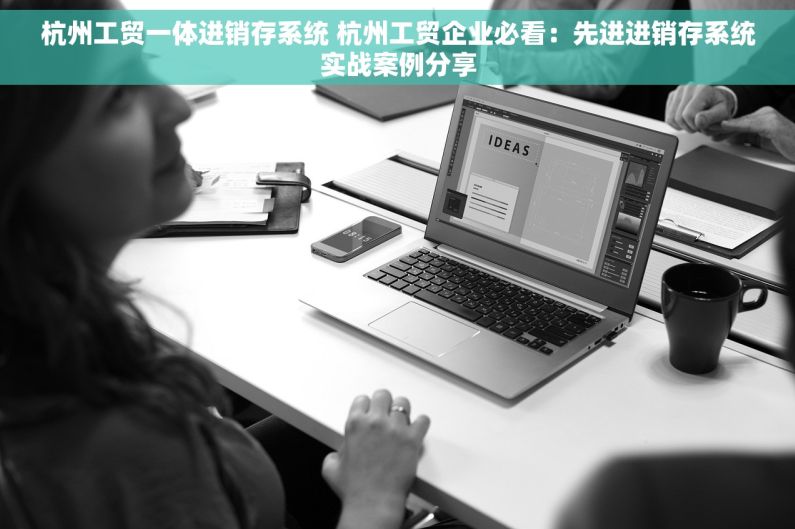 杭州工贸一体进销存系统 杭州工贸企业必看：先进进销存系统实战案例分享