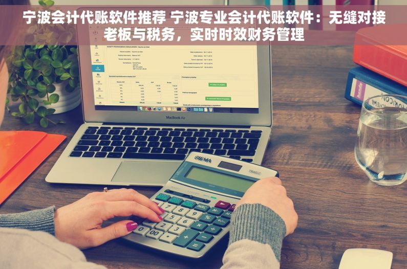 宁波会计代账软件推荐 宁波专业会计代账软件：无缝对接老板与税务，实时时效财务管理