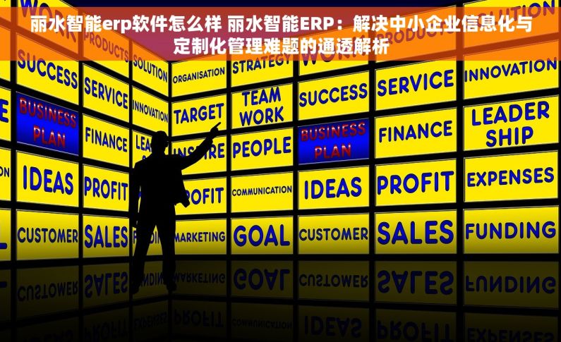 丽水智能erp软件怎么样 丽水智能ERP：解决中小企业信息化与定制化管理难题的通透解析