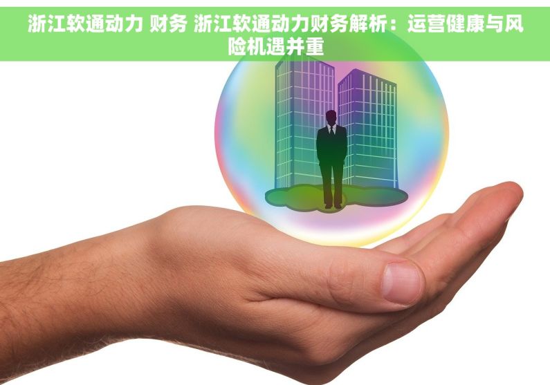 浙江软通动力 财务 浙江软通动力财务解析：运营健康与风险机遇并重