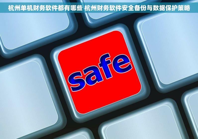 杭州单机财务软件都有哪些 杭州财务软件安全备份与数据保护策略