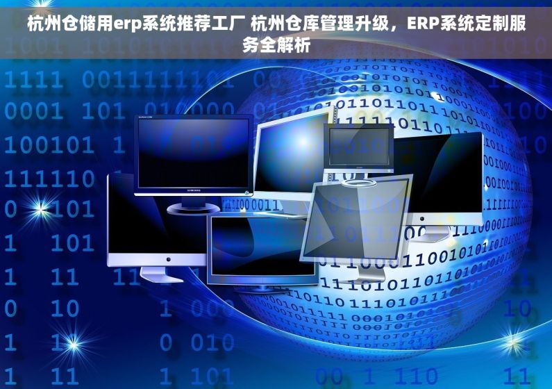 杭州仓储用erp系统推荐工厂 杭州仓库管理升级，ERP系统定制服务全解析