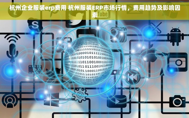 杭州企业服装erp费用 杭州服装ERP市场行情，费用趋势及影响因素