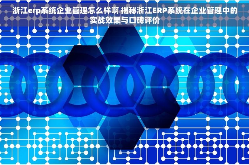 浙江erp系统企业管理怎么样啊 揭秘浙江ERP系统在企业管理中的实战效果与口碑评价