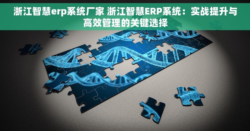 浙江智慧erp系统厂家 浙江智慧ERP系统：实战提升与高效管理的关键选择