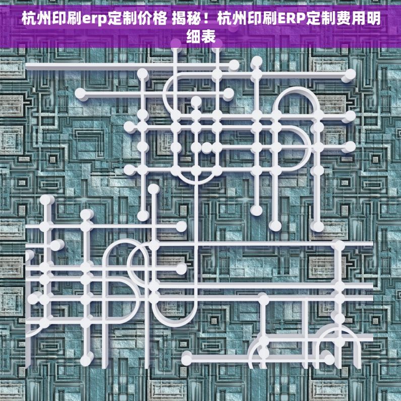 杭州印刷erp定制价格 揭秘！杭州印刷ERP定制费用明细表