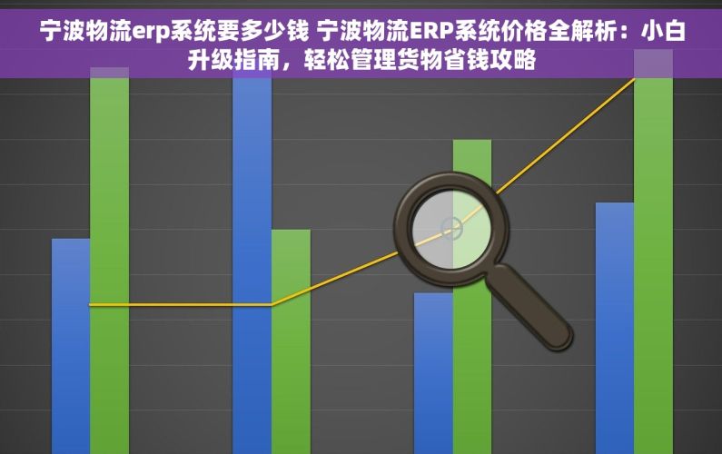 宁波物流erp系统要多少钱 宁波物流ERP系统价格全解析：小白升级指南，轻松管理货物省钱攻略