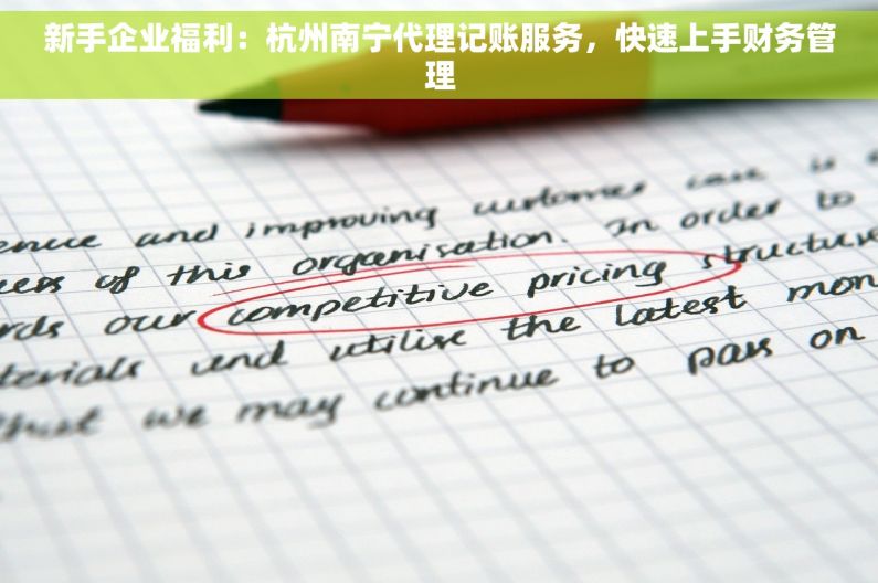 新手企业福利：杭州南宁代理记账服务，快速上手财务管理