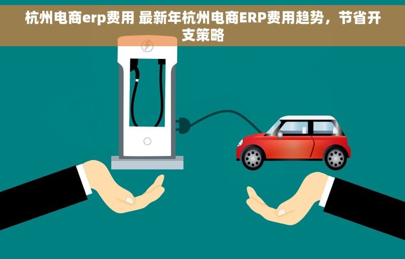杭州电商erp费用 最新年杭州电商ERP费用趋势，节省开支策略