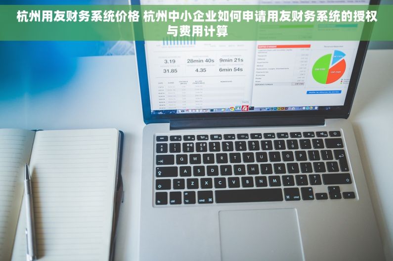 杭州用友财务系统价格 杭州中小企业如何申请用友财务系统的授权与费用计算