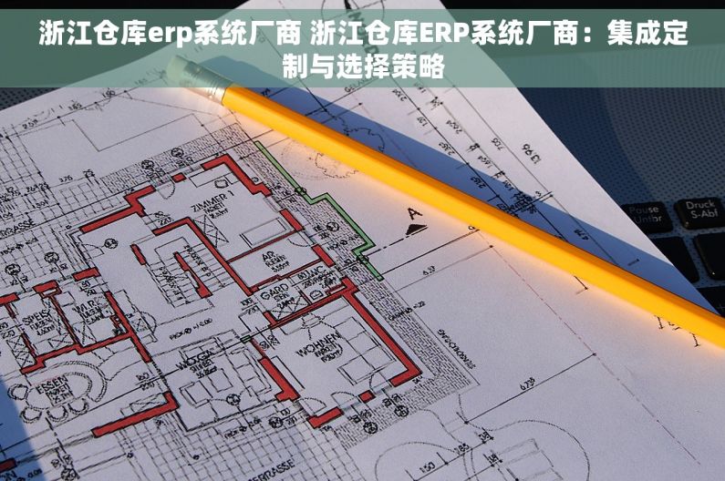 浙江仓库erp系统厂商 浙江仓库ERP系统厂商：集成定制与选择策略