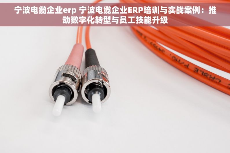 宁波电缆企业erp 宁波电缆企业ERP培训与实战案例：推动数字化转型与员工技能升级
