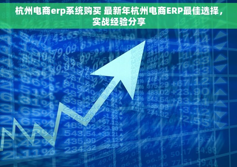 杭州电商erp系统购买 最新年杭州电商ERP最佳选择，实战经验分享